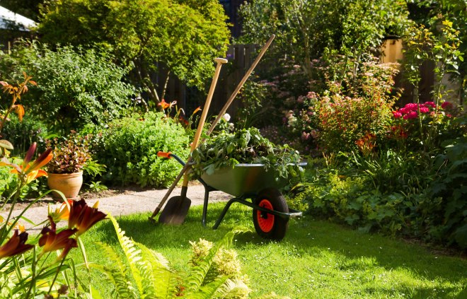 gardening-services-garden-tidying.jpg
